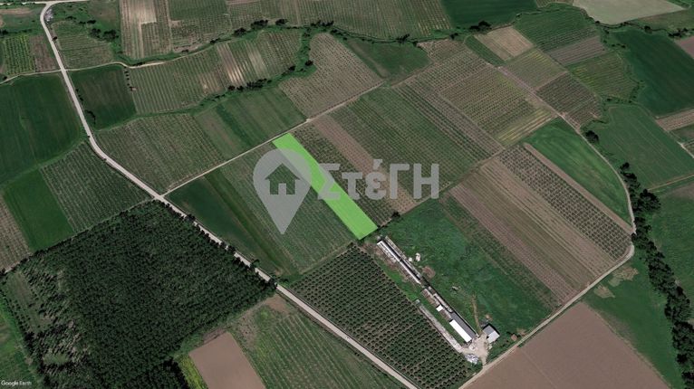Parcel 6.000 sqm for sale, Imathia, Dovra