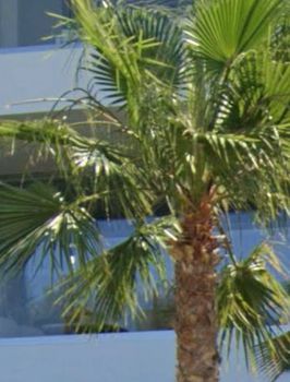 Detached home 450sqm for sale-Glyfada » Golf
