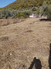Οικόπεδο 277 τ.μ. για πώληση, Εύβοια, Λιχάδα-thumb-7