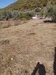 Οικόπεδο 277 τ.μ. για πώληση, Εύβοια, Λιχάδα-thumb-9