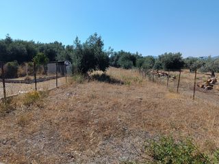 Οικόπεδο 277 τ.μ. για πώληση, Εύβοια, Λιχάδα-thumb-10
