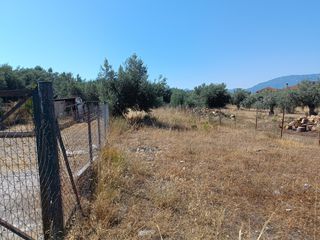 Οικόπεδο 277 τ.μ. για πώληση, Εύβοια, Λιχάδα-thumb-11