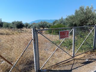 Οικόπεδο 277 τ.μ. για πώληση, Εύβοια, Λιχάδα-thumb-12