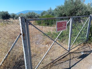 Οικόπεδο 277 τ.μ. για πώληση, Εύβοια, Λιχάδα-thumb-13