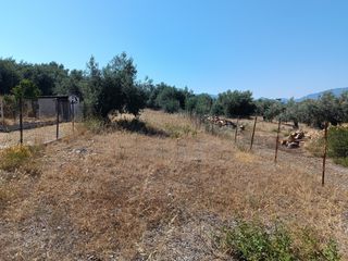 Οικόπεδο 277 τ.μ. για πώληση, Εύβοια, Λιχάδα-thumb-14