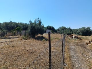 Οικόπεδο 277 τ.μ. για πώληση, Εύβοια, Λιχάδα-thumb-16