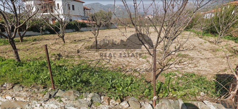 Οικόπεδο 2.560 τ.μ. προς πώληση, Μαγνησία, Αρτέμιδα