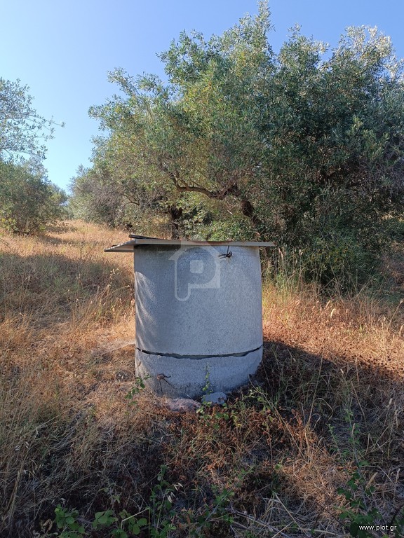 Αγροτεμάχια 1.135 τ.μ. προς πώληση, Βασιλίνα