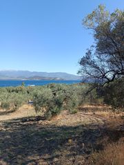 Αγροτεμάχια 1.135 τ.μ. για πώληση, Εύβοια, Λιχάδα-thumb-6