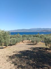 Αγροτεμάχια 1.135 τ.μ. για πώληση, Εύβοια, Λιχάδα-thumb-7