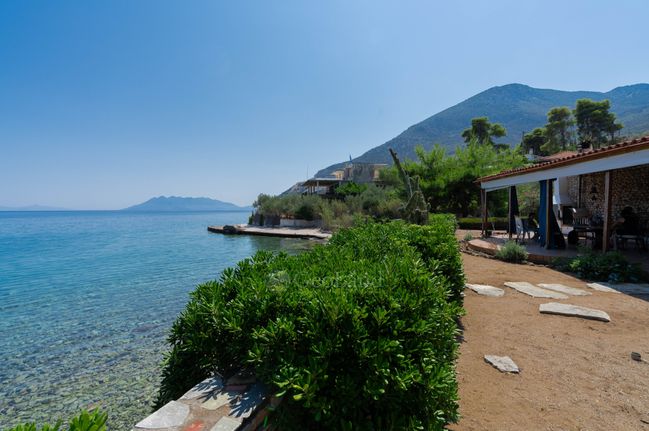 Αγροτεμάχια 4.028 τ.μ. για πώληση, Αργολίδα, Επίδαυρος