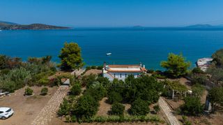 Αγροτεμάχια 4.028 τ.μ. για πώληση, Αργολίδα, Επίδαυρος-thumb-13