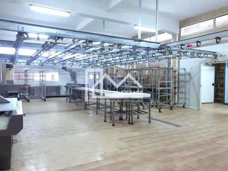 Business bulding 2.200sqm for rent-Michaniona » Center
