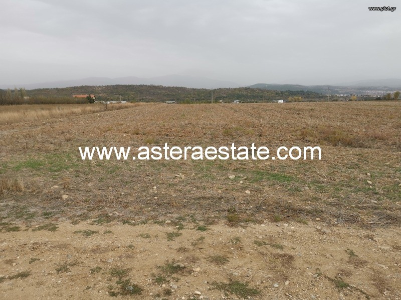 Αγροτεμάχια 4.879 τ.μ. για πώληση, Περ. Blagoevgrad