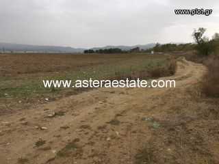 Αγροτεμάχια 4.879 τ.μ. για πώληση, Περ. Blagoevgrad-thumb-8