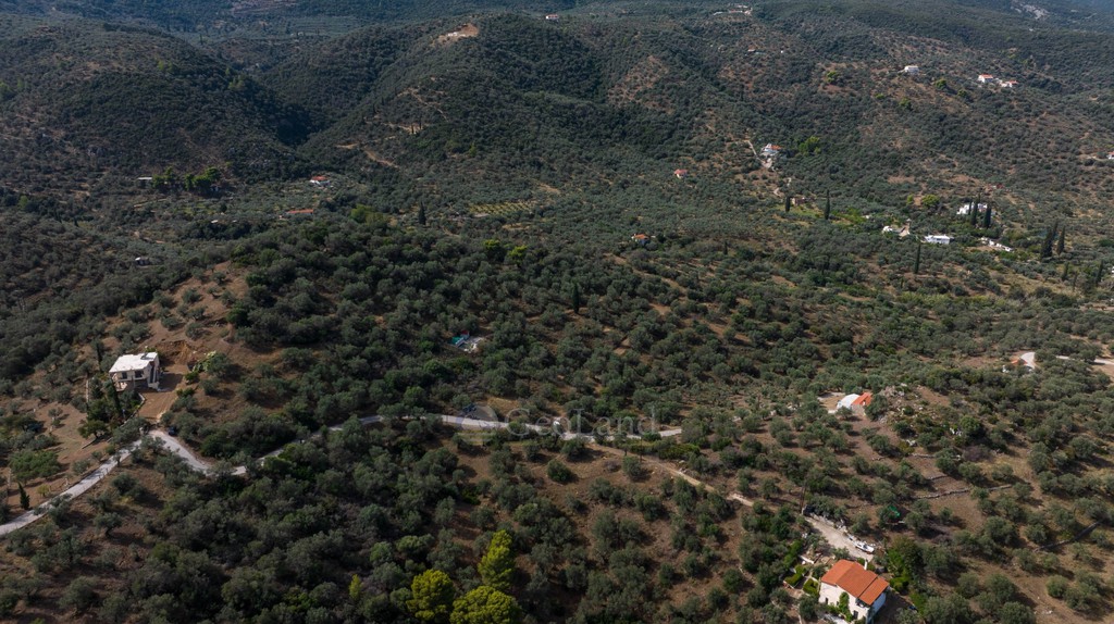 Αγροτεμάχια 9.000 τ.μ. προς πώληση, Γαλατάς Τροιζήνας