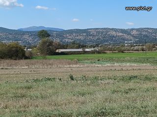 Αποθήκη 200 τ.μ. για πώληση, Ν. Ιωαννίνων, Εκάλη-thumb-3
