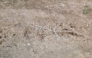 Οικόπεδο 110 τ.μ. για πώληση, Αχαΐα, Πάτρα-thumb-20
