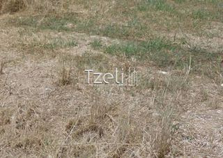 Οικόπεδο 110 τ.μ. για πώληση, Αχαΐα, Πάτρα-thumb-22