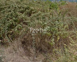Οικόπεδο 110 τ.μ. για πώληση, Αχαΐα, Πάτρα-thumb-14