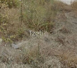 Οικόπεδο 110 τ.μ. για πώληση, Αχαΐα, Πάτρα-thumb-19