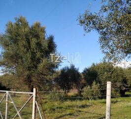 Οικόπεδο 400 τ.μ. για πώληση, Αχαΐα, Παραλία-thumb-28