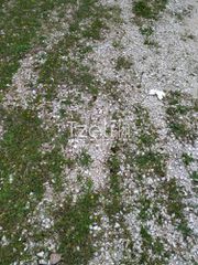 Οικόπεδο 400 τ.μ. για πώληση, Αχαΐα, Παραλία-thumb-13