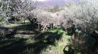 Οικόπεδο 400 τ.μ. για πώληση, Αχαΐα, Παραλία-thumb-26