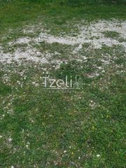Οικόπεδο 400 τ.μ. για πώληση, Αχαΐα, Παραλία-thumb-23