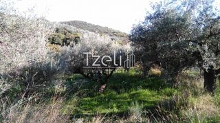 Οικόπεδο 400 τ.μ. για πώληση, Αχαΐα, Παραλία-thumb-25