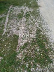 Οικόπεδο 400 τ.μ. για πώληση, Αχαΐα, Παραλία-thumb-22