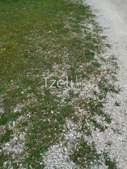Οικόπεδο 400 τ.μ. για πώληση, Αχαΐα, Παραλία-thumb-7