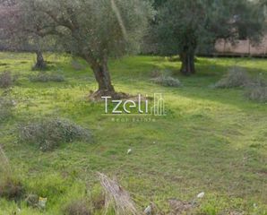 Αγροτεμάχια 5.364 τ.μ. για πώληση, Αχαΐα, Ρίο-thumb-21