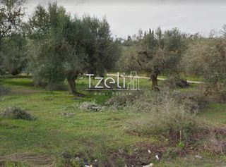 Αγροτεμάχια 5.364 τ.μ. για πώληση, Αχαΐα, Ρίο-thumb-13