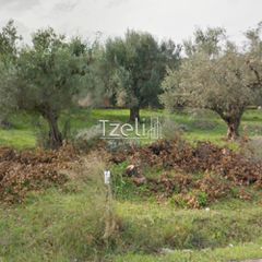Αγροτεμάχια 5.364 τ.μ. για πώληση, Αχαΐα, Ρίο-thumb-11
