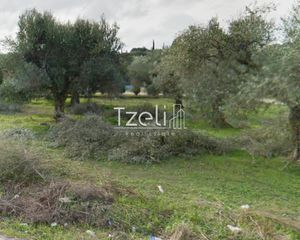 Αγροτεμάχια 5.364 τ.μ. για πώληση, Αχαΐα, Ρίο-thumb-22