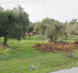 Αγροτεμάχια 5.364 τ.μ. για πώληση, Αχαΐα, Ρίο-thumb-3