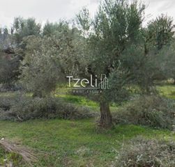 Αγροτεμάχια 5.364 τ.μ. για πώληση, Αχαΐα, Ρίο-thumb-19