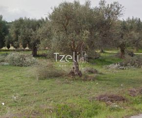 Αγροτεμάχια 5.364 τ.μ. για πώληση, Αχαΐα, Ρίο-thumb-10