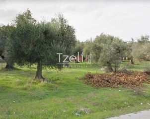 Αγροτεμάχια 5.364 τ.μ. για πώληση, Αχαΐα, Ρίο-thumb-2