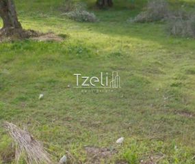 Αγροτεμάχια 5.364 τ.μ. για πώληση, Αχαΐα, Ρίο-thumb-28