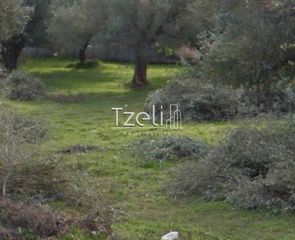 Αγροτεμάχια 5.364 τ.μ. για πώληση, Αχαΐα, Ρίο-thumb-16
