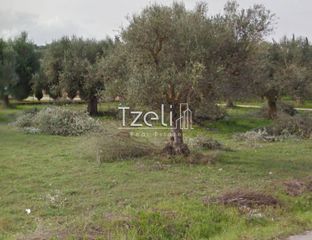 Αγροτεμάχια 5.364 τ.μ. για πώληση, Αχαΐα, Ρίο-thumb-7