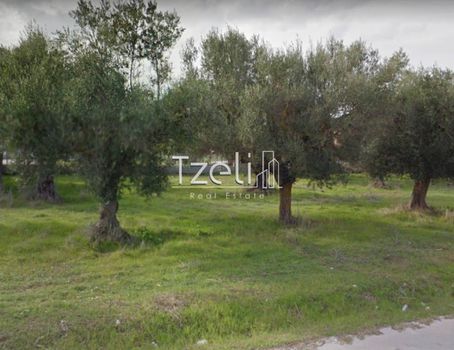 Αγροτεμάχια 5.364τ.μ. για πώληση-Ρίο » Άγιος βασίλειος