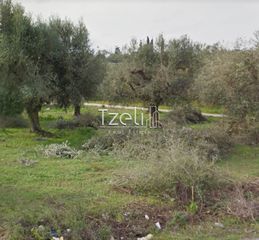 Αγροτεμάχια 5.364 τ.μ. για πώληση, Αχαΐα, Ρίο-thumb-18