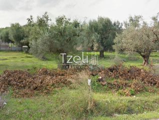 Αγροτεμάχια 5.364 τ.μ. για πώληση, Αχαΐα, Ρίο-thumb-5