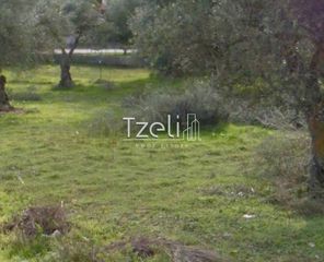 Αγροτεμάχια 5.364 τ.μ. για πώληση, Αχαΐα, Ρίο-thumb-9