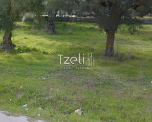 Αγροτεμάχια 5.364 τ.μ. για πώληση, Αχαΐα, Ρίο-thumb-23
