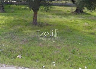Αγροτεμάχια 5.364 τ.μ. για πώληση, Αχαΐα, Ρίο-thumb-25