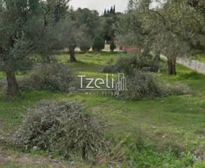 Αγροτεμάχια 5.364 τ.μ. για πώληση, Αχαΐα, Ρίο-thumb-15